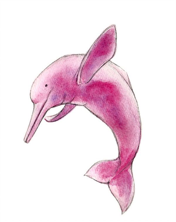Desenho do boto cor-de-rosa
